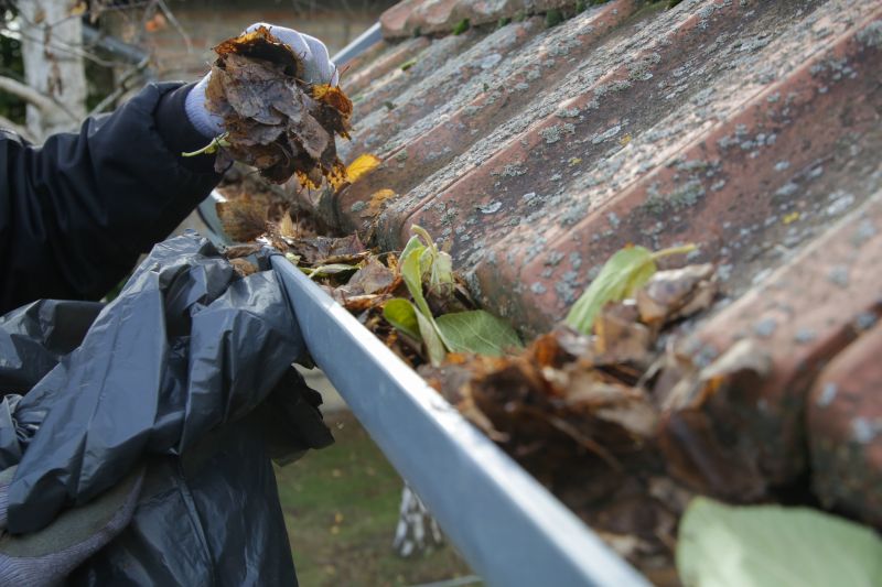 Seasonal Gutter Services